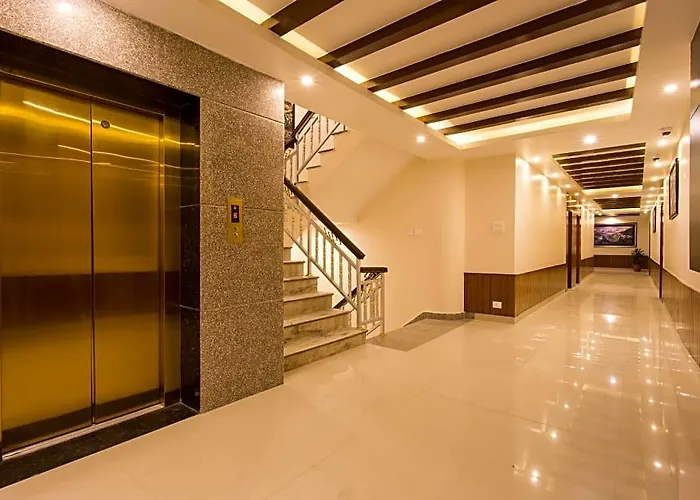 Buddy Hotel