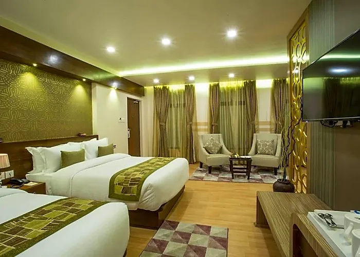 Hotel Buddy 3*