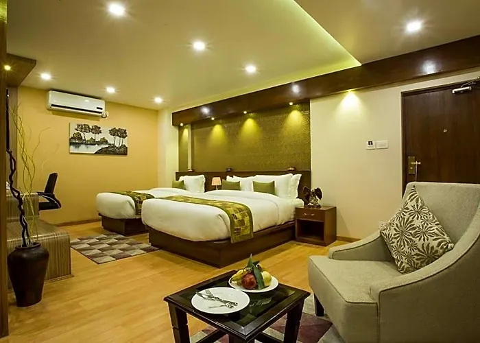 Buddy Hotel